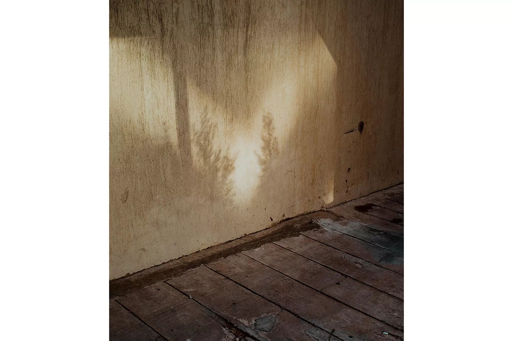 draining-the-well-of-young-dreams photograph 17