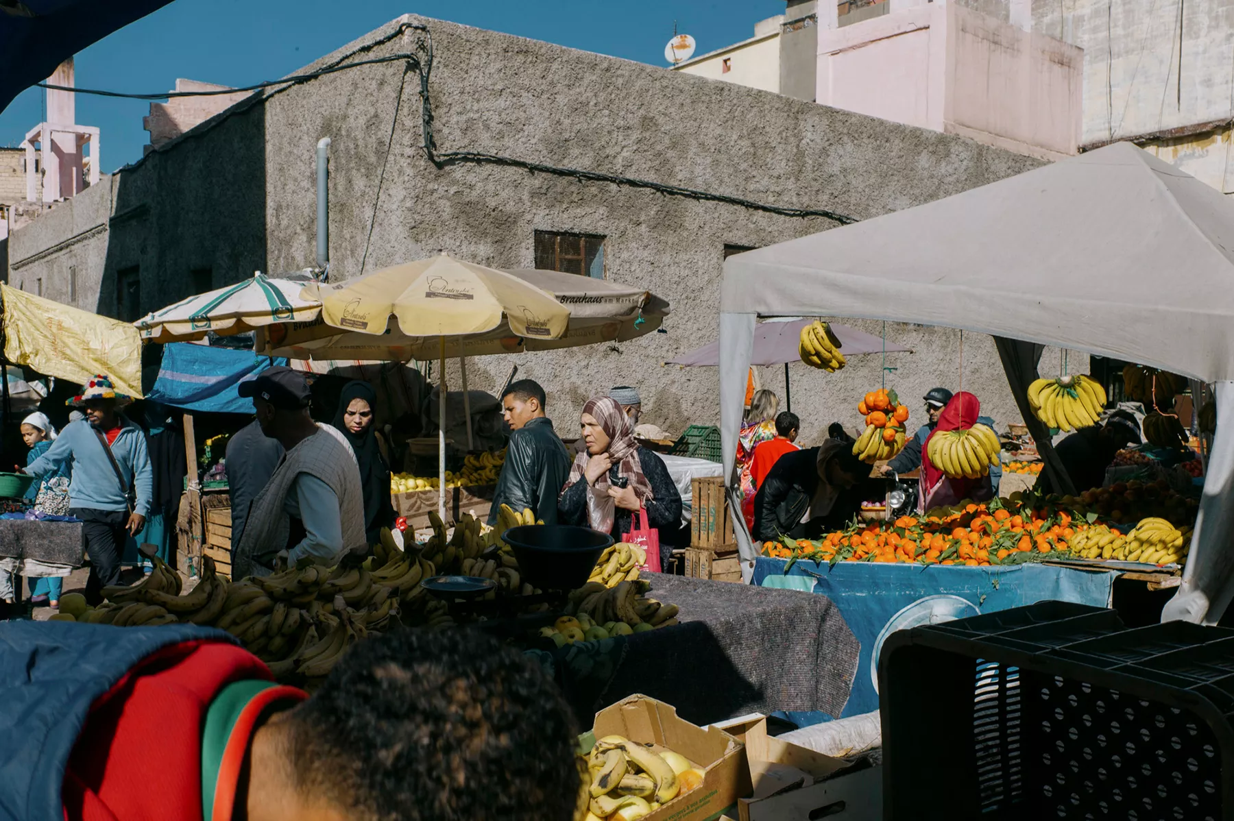 in-the-north-of-morocco photograph 4