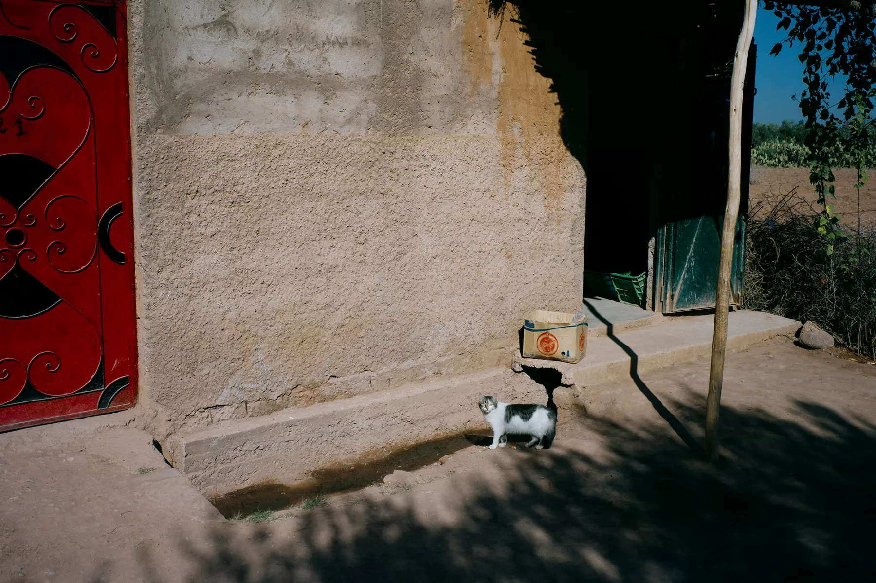 in-the-north-of-morocco photograph 22